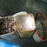 bread sprinkles in old tins...I've got a thing about tins