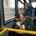 Bus Dog